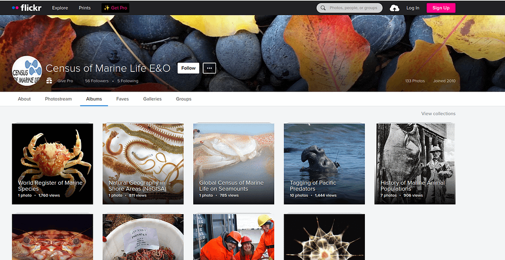 Screenshot from the census of marine life website.